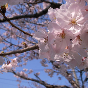 09040601.jpg