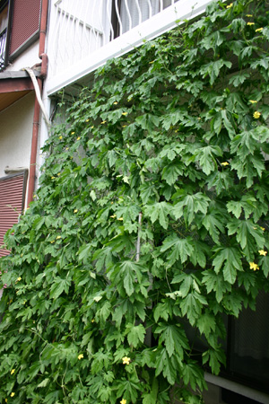 070702-2.jpg