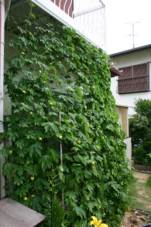 070702-3.jpg