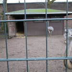 zoo02.jpg