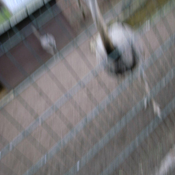 zoo03.jpg