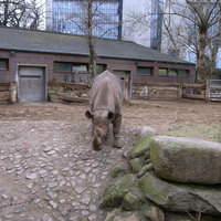 zoo04.jpg