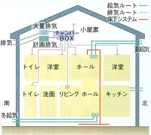 エコシステム地中熱利用システム