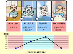 heatshock01.gif